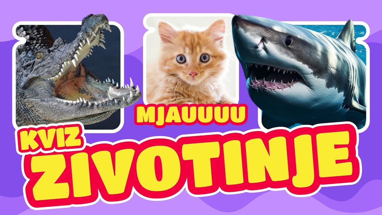 🔥 POGODI 70 ŽIVOTINJA  | 🦁 DIVLJE I DOMAĆE 🐔 | 1 Tačan ODGOVOR + BONUS Pitanja | LepKo Kviz 2026 🐼