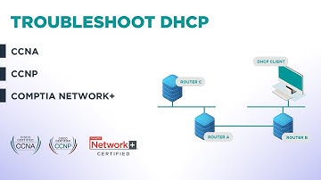 How to troubleshoot DHCP l CCNA l CCNP l CompTIA Network+