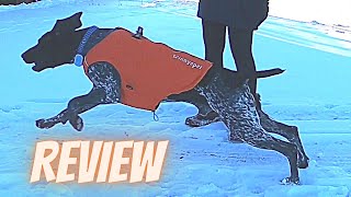 Dog Harness Winter Coat Combo Perfect for Cold Weather