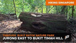 [Hiking Singapore] Jurong East to Bukit Timah Hill (through Bukit Batok Nature Park)