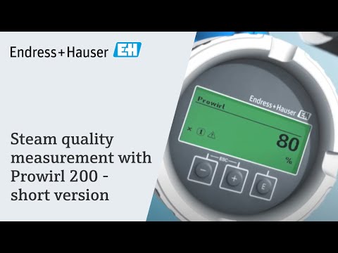 Steam quality measurement with Prowirl 200 -  short version
