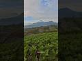 BEAUTIFUL NATURAL VIEW 🥰 #naturalbeauty #mountain #naturalview #sindoro #sumbing