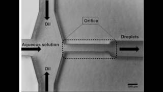 Inexpensive droplet-based microfluidic platform