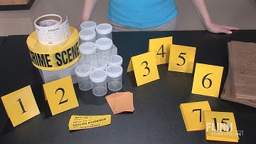 About the Forensic Supplies Lab Kit