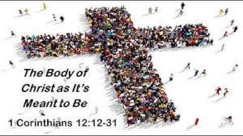 the body of christ | Ephesians 4:1-12 | unity of believers as demostrated in the body of christ
