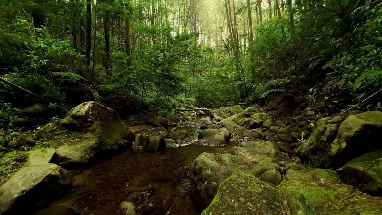 River Sounds the water flows in a gentle rhythm, the atmosphere relieves stress