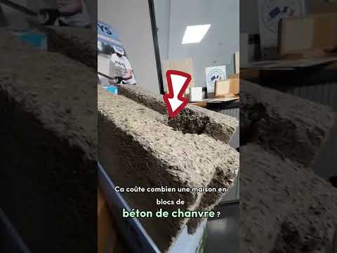 Vidéo: Combien coûte la construction d'une maison en blocs de mousse ? Quel est le coût de construction d'une maison à partir de blocs de mousse ?