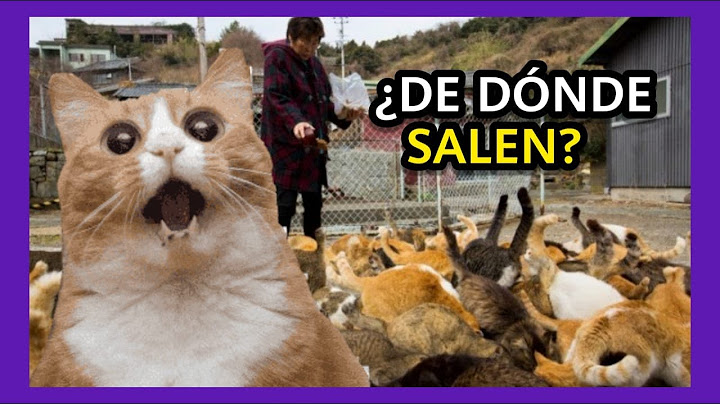 LA ISLA DE LOS GATOS ABANDONADOS // ISLA FURTADA