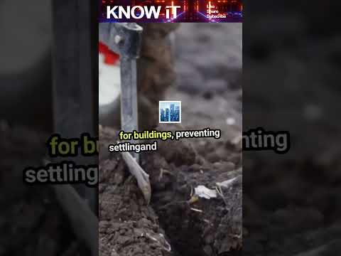 10 Fascinating Facts
