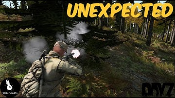 Unexpected - Dayz Standalone