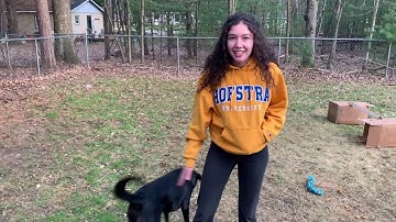 Mrs. Lopez WE Virtual Field Day