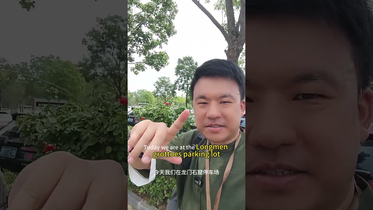 Xian Luoyang tour Longmen grottoes Terracotta army Dragon gate grottoes tour guide Tim China travel