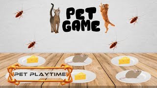 Cat Games | Ultimate Cat TV Compilation