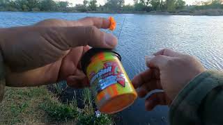 Trout Fishing Mojave Narrows CA - March Derby 