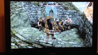 Skyrim: Braith being attacked by guards!!