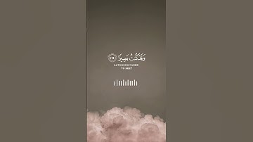 القارئ طارق مـحـمد