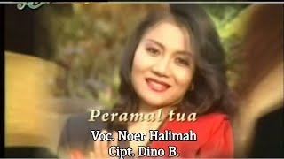 Noer Halimah - Peramal Tua