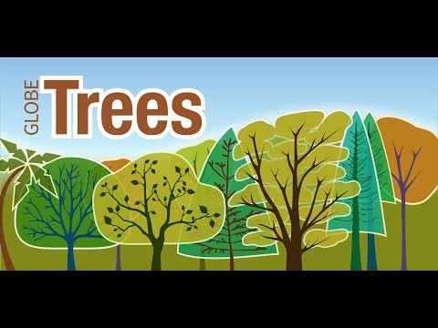 NASA GLOBE Observer: Trees