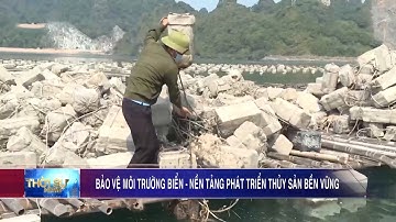 Bảo vệ môi trường biển - nền tảng phát triển thủy sản bền vững