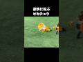 豪快に転ぶピカチュウ　#ポケモン #ぽこあポケモン