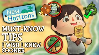 10 Useful Things I WISH I Knew Sooner In Animal Crossing New Horizons