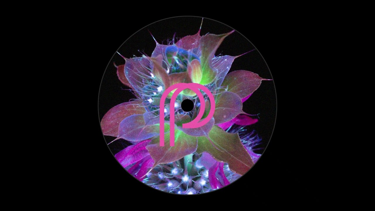 Digital Justice - Theme From 'It's All Gone Pear Shaped