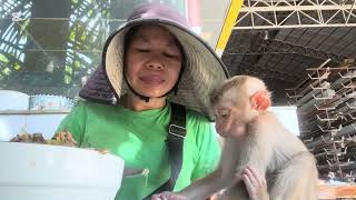 Yoday Mary eat less rice #monkey #animals #asmr