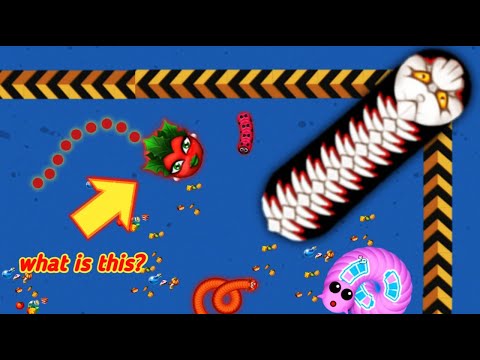Worms Zone Magic Slither Snake - Surprised there are only head worms - Xmood Roy