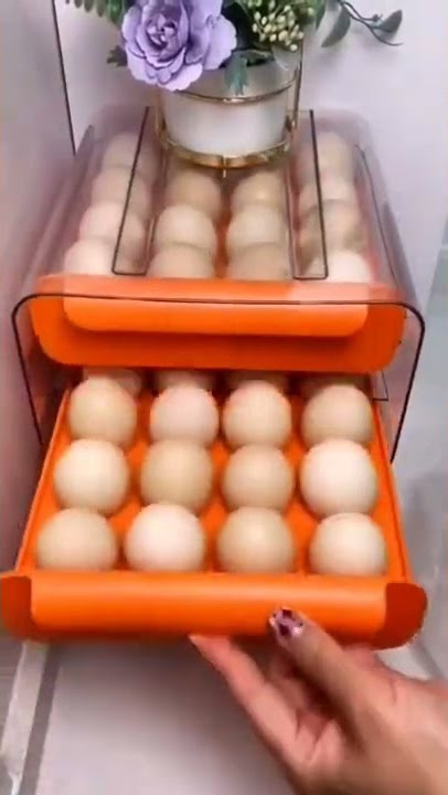 Tempat Telur #fyp #food #shorts #alatdapur #egg #telur #container