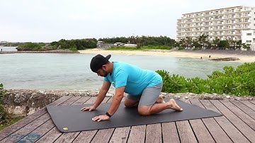 Quadruped Rockback to Squat