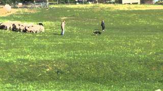 IMG 0884 MOV
