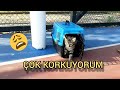 Bambi İlk Defa Dışarı Çıktı Korkudan Ne Yapacağını Şaşırdı !!!