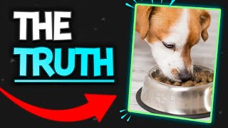 The Truth About Pet Nutrition w/ Dr. Danielle Conway | The Veterinary Roundtable  EP69