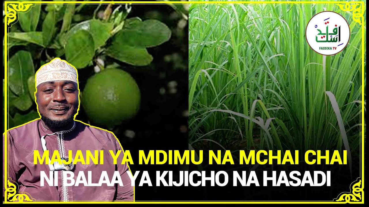 MAJANI YA MDIMU NA MCHAI CHAI NI BALAA KTK KUTIBU HASAD NA KIJICHO:AL BASARY