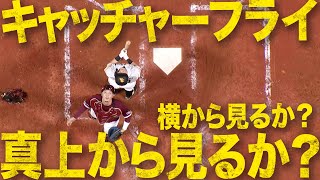 【神様アングル】真上から見下ろすキャッチャーフライ