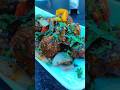 Mangal  pandey restaurant #cafe #shortvideo #restaurant #mangal pandey #barrackpore # kolkata