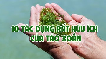 10 TÁC DỤNG CỦA TẢO XOẮN SPIRULINA NHẬT BẢN | TẢO XOẮN SPIRULINA CÓ TỐT KHÔNG ?