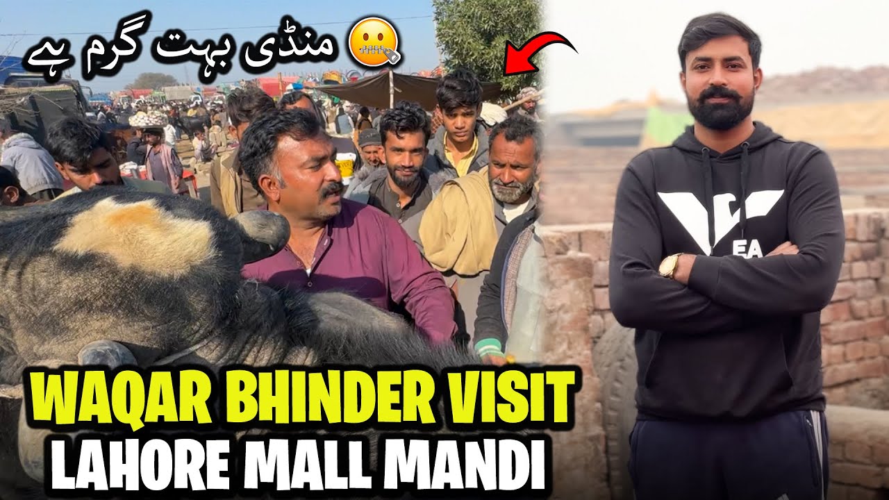 Aj Waqar Bhinder Lahore Mall Mandi Gaya 😲 ساری انفارمیشن اس ویڈیو میں