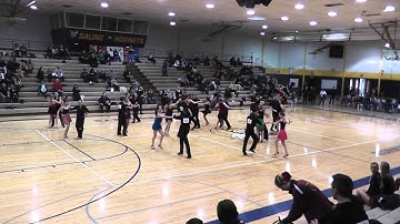 MichComp 2016 Newcomer Rhythm Swing Semi-Final