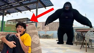 GORILLA BUILD SECRET ROOM GONE WRONG! screenshot 3