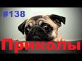 ЛУЧШИЕ ПРИКОЛЫ 2019 Декабрь #138 Ржач до слез, угар, приколы - ПРИКОЛЮХА ХАХАХА