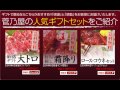 グルメ・ギフトのお取り寄せなら馬刺し専門店【菅乃屋ミート】購入・通販・口コミ・効果・評判・グルメ・お中元・敬老の日・父の日・お歳暮