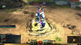 Pure Torch Scourge 38.564 DPS