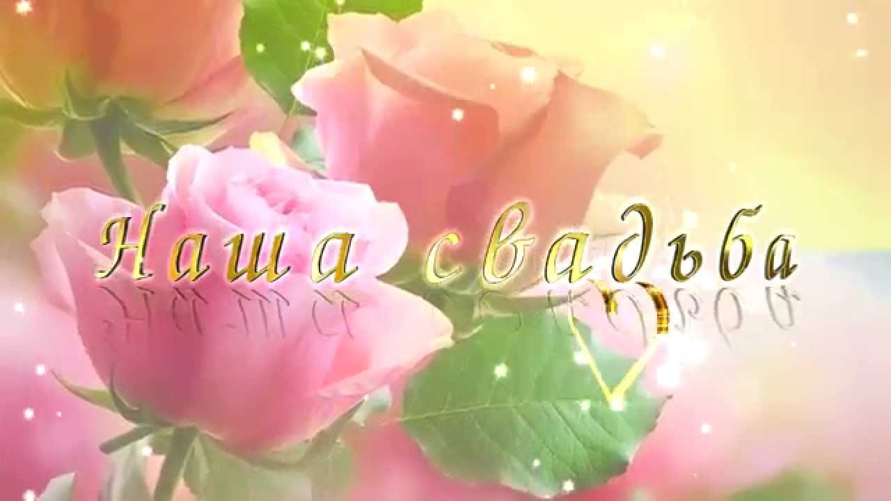 Свадебные проекты blufftitler Свадебные проекты blufftitler