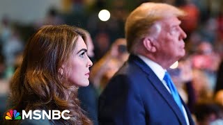 Hope Hicks 'doesn't have the credibility issues' of Michael Cohen or David Pecker