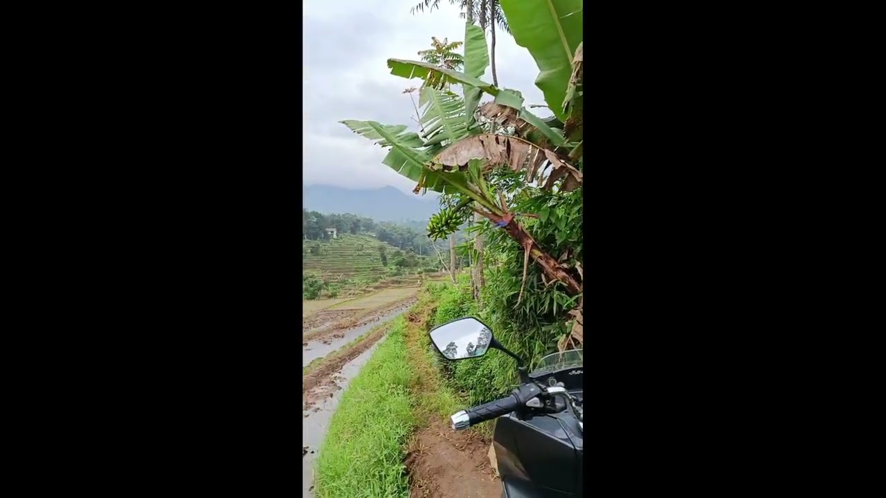 cisema terkini,dibulan puasa tepat nya tgl 28-2-2026.