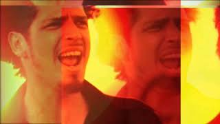 Chris Cornell - A Day In The Life  (Beatles)