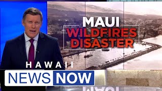 Amid housing crisis Maui commission considers phasing out thousands of vacation rentals