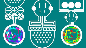 MY FIRST AMAZING MARBLE RACE? - ALGODOO