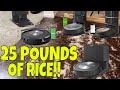 25 pounds of rice vs 5 roomba robot vacuums  i6 i3 j7 s9 j7 combo